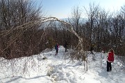 84 In discesa verso i Tre Faggi